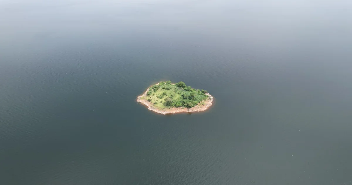 Smaller Dynamic Island - Apple Unveils ‘Smaller Dynamic Island,’ Consumers Squint Harder