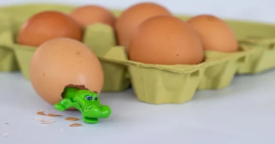dinosaur eggshells - Dinosaur Eggshells Discovered to Be Shockingly Judgmental About Other Fossils’ Age