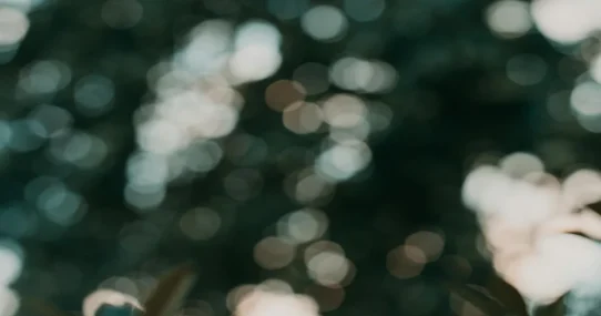 Quiet Light Mixtape - Quiet Light Drops Blue Angel Sparkling Silver 2, Fans Brace for More