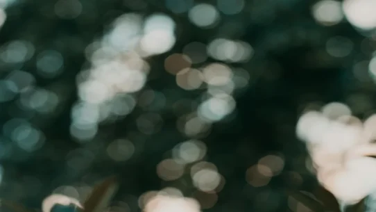 Quiet Light Mixtape - Quiet Light Drops Blue Angel Sparkling Silver 2, Fans Brace for More