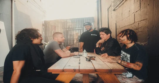 Telehealth Green World Image - Telehealth IPOs with 'Green World Image,' Angers Traditional Punk Scene