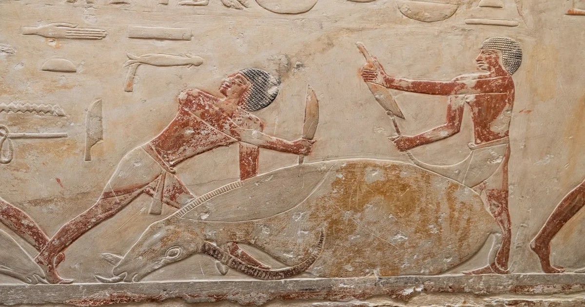 ancient Chinese disasters - Ancient Chinese Disasters Solved by Teenager's TikTok Dance