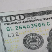 British Banknote Backlash - Beavers Spark Furious British Banknote Backlash