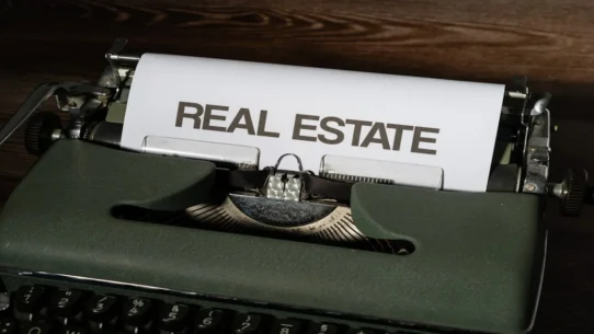Empress Of Dream House - Empress Of Dream House Sparks Unrealistic Real Estate Demands