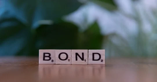 Government Bonds Rallying - Government Bonds Rallying as Public Trusts Flimsy Promises Over Reality