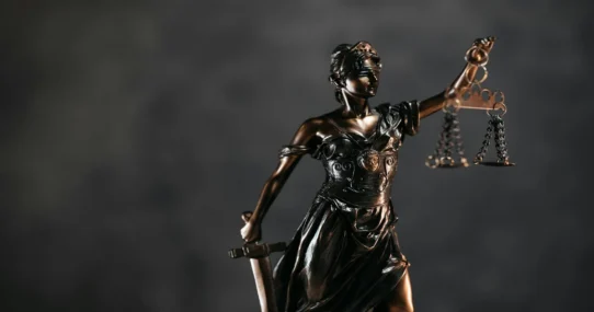 Jackson Estate Lawsuit - Jackson Estate Lawsuit Prompts 'Neverland Legal Defense Theme Park'