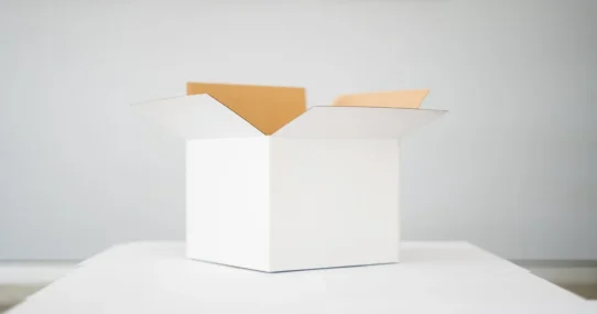 Election Oversight - New Federal Initiative Promises Ultimate Election Oversight
