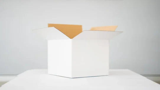 Election Oversight - New Federal Initiative Promises Ultimate Election Oversight