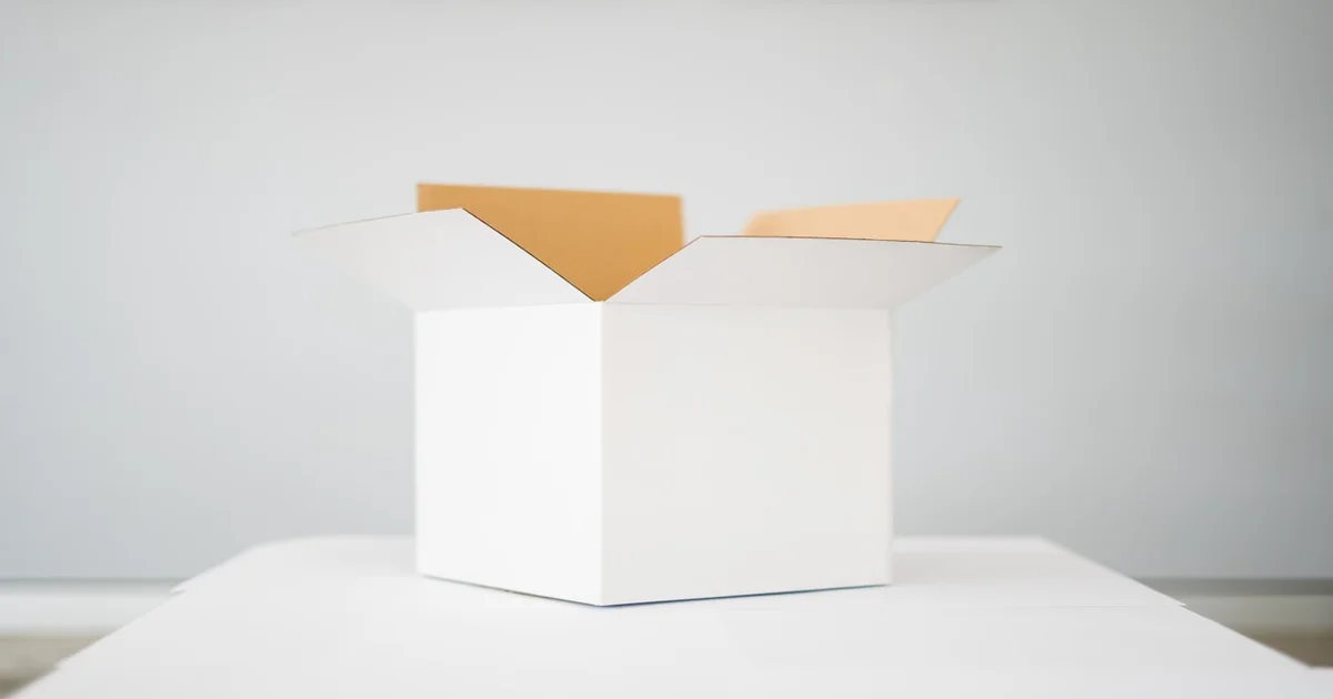 Election Oversight - New Federal Initiative Promises Ultimate Election Oversight