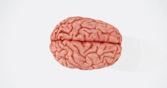 OpenAI plugins - OpenAI Plugins Unleashed: Humanity No Longer Needs to Pretend It Understands Anything