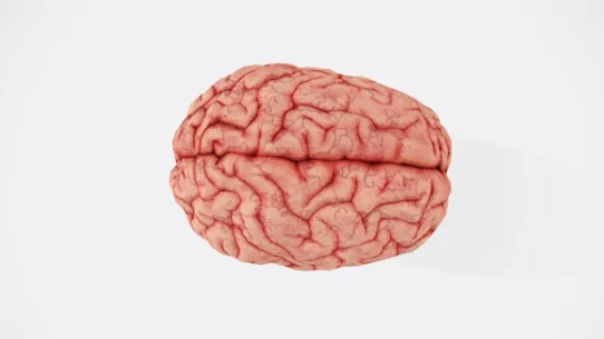 OpenAI plugins - OpenAI Plugins Unleashed: Humanity No Longer Needs to Pretend It Understands Anything