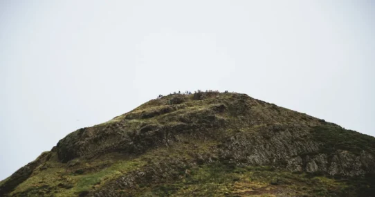 Rhododendron Ascent Effort - Rhododendron Announce New Album Ascent Effort: It's A Lot