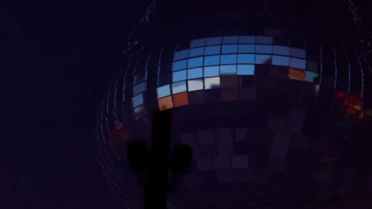 Meltdown Festival lineup - Harry Styles' Meltdown Festival Is Mostly Disco, Occasionally Other Genres