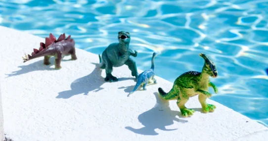 Pond Terrestrials - Pond Announce New Album Terrestrials Amidst Existential Dinosaur Crisis
