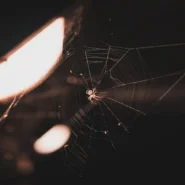 Spider-Noir - Spider-Noir Trailer Drops, Promises Gritty Web-Slinging