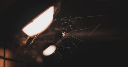 Spider-Noir - Spider-Noir Trailer Drops, Promises Gritty Web-Slinging