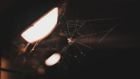 Spider-Noir - Spider-Noir Trailer Drops, Promises Gritty Web-Slinging