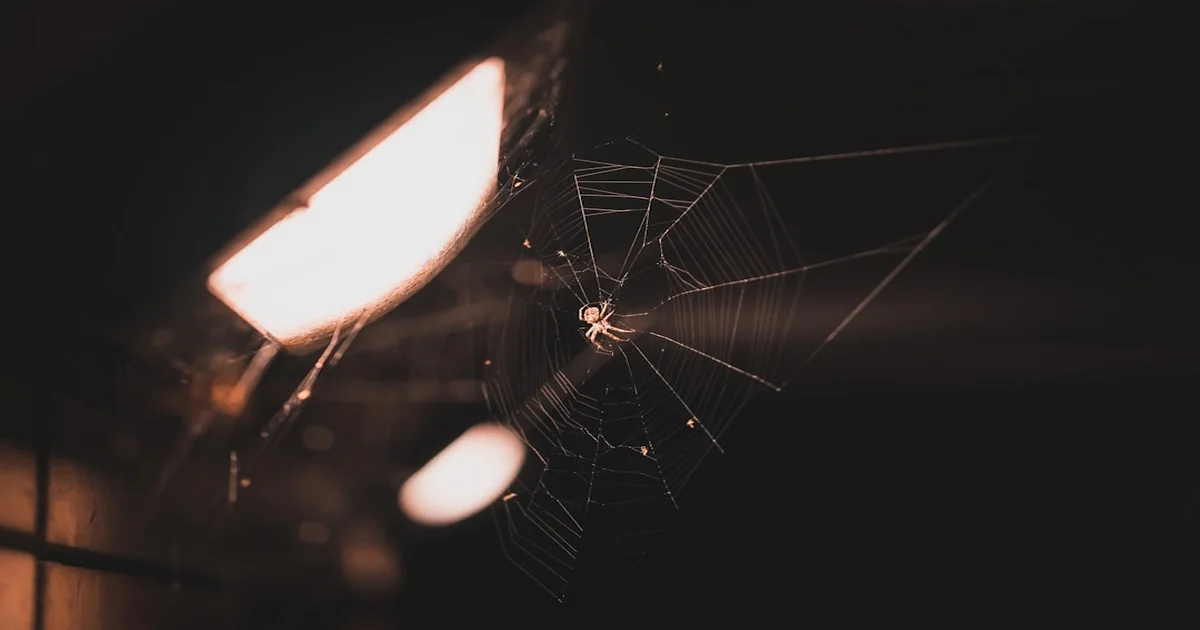 Spider-Noir - Spider-Noir Trailer Drops, Promises Gritty Web-Slinging