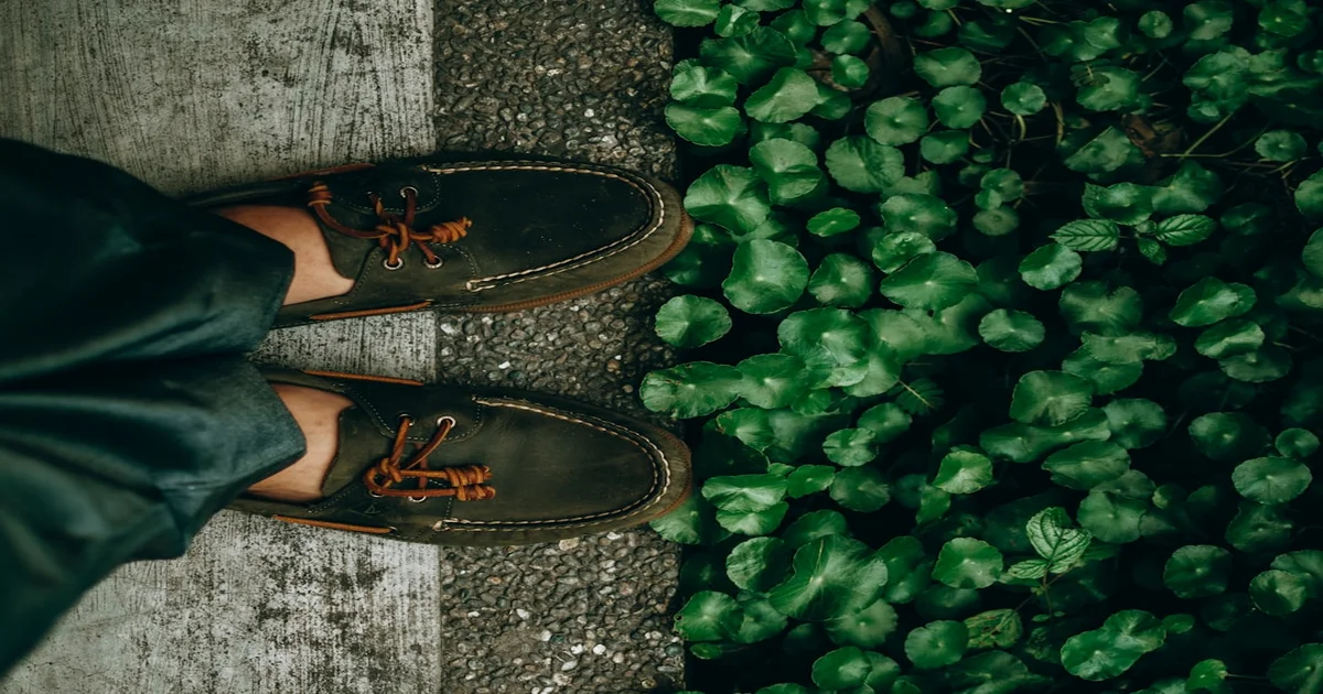 Brian Ennals Blockhead - Brian Ennals & Blockhead Drop Boatshoes, Album Promises Existential Dread