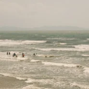 Sirena siren call - Downtown Boys' 'Sirena' Song Prompts Mass Aquatic Migration