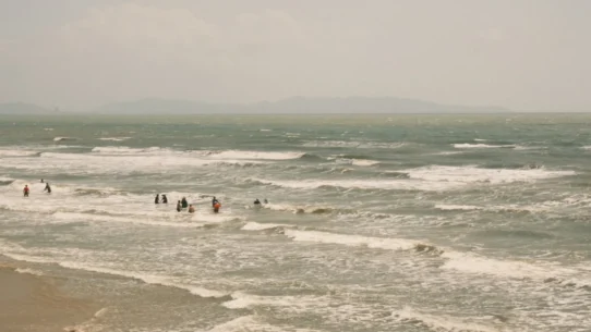 Sirena siren call - Downtown Boys' 'Sirena' Song Prompts Mass Aquatic Migration