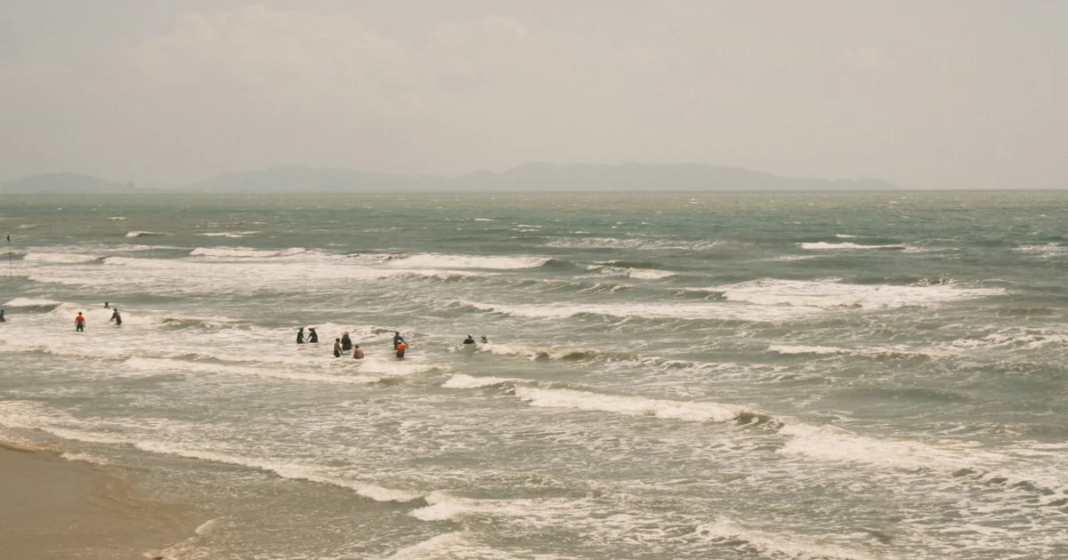 Sirena siren call - Downtown Boys' 'Sirena' Song Prompts Mass Aquatic Migration