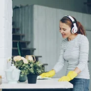 ear Ne Plus Ultra - Ear's 'Ne Plus Ultra' Accidentally Sparks Nationwide Cleaning Frenzy