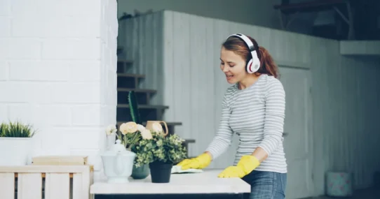 ear Ne Plus Ultra - Ear's 'Ne Plus Ultra' Accidentally Sparks Nationwide Cleaning Frenzy
