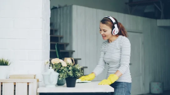 ear Ne Plus Ultra - Ear's 'Ne Plus Ultra' Accidentally Sparks Nationwide Cleaning Frenzy