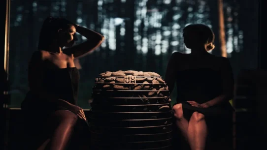 sauna towel quota - Finland's PM Lost Because Voters Prioritized Sauna Quotas