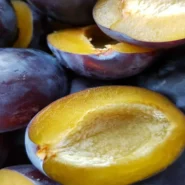 Josh Conway plum - Josh Conway's Debut Solo Album 'Plum' Prompts Existential Crisis in Fruit Growers