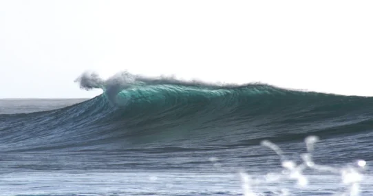 animated surfing movie - Oklou Scores Animated Surfing Movie, Promises Existential Wave