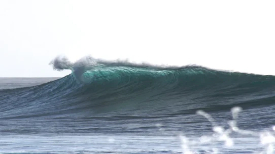 animated surfing movie - Oklou Scores Animated Surfing Movie, Promises Existential Wave