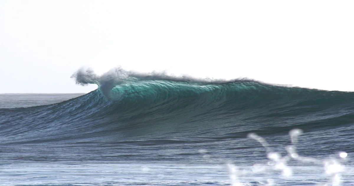 animated surfing movie - Oklou Scores Animated Surfing Movie, Promises Existential Wave