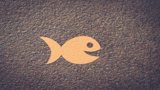 Oxis 9 Knifefish - Oxis 9 Knifefish Track Inspires Global Maritime Law Changes