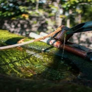 Water Infrastructure Hacks - Poland Water Hacks Uncover US Utility's Bold New 'Bucket-and-Hose' Protocol