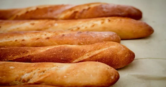 Pope Leo France visit - Pope Leo XIV to Scrutinize French Baguette Integrity During September Visit