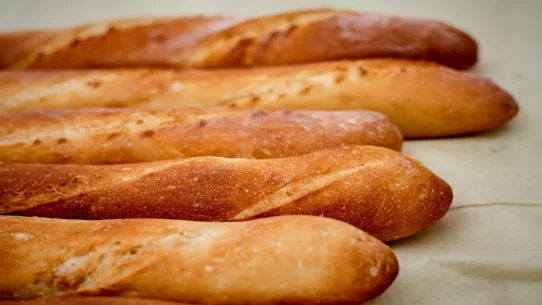 Pope Leo France visit - Pope Leo XIV to Scrutinize French Baguette Integrity During September Visit