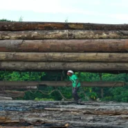 Sanna Marin's defeat - Sanna Marin's Defeat Blamed on Public's Log-Rolling Fury