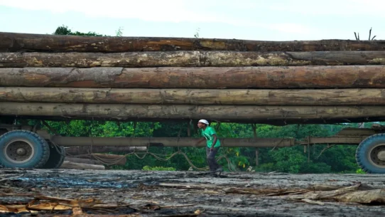 Sanna Marin's defeat - Sanna Marin's Defeat Blamed on Public's Log-Rolling Fury