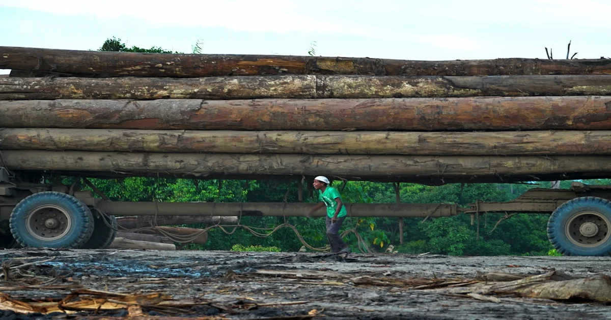 Sanna Marin's defeat - Sanna Marin's Defeat Blamed on Public's Log-Rolling Fury