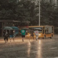 Widemouth Raincoat - Widemouth 'Raincoat' Single Causes Unprecedented Localized Precipitation
