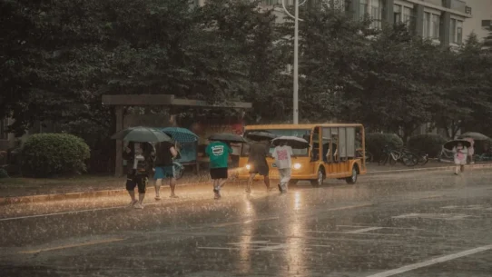Widemouth Raincoat - Widemouth 'Raincoat' Single Causes Unprecedented Localized Precipitation