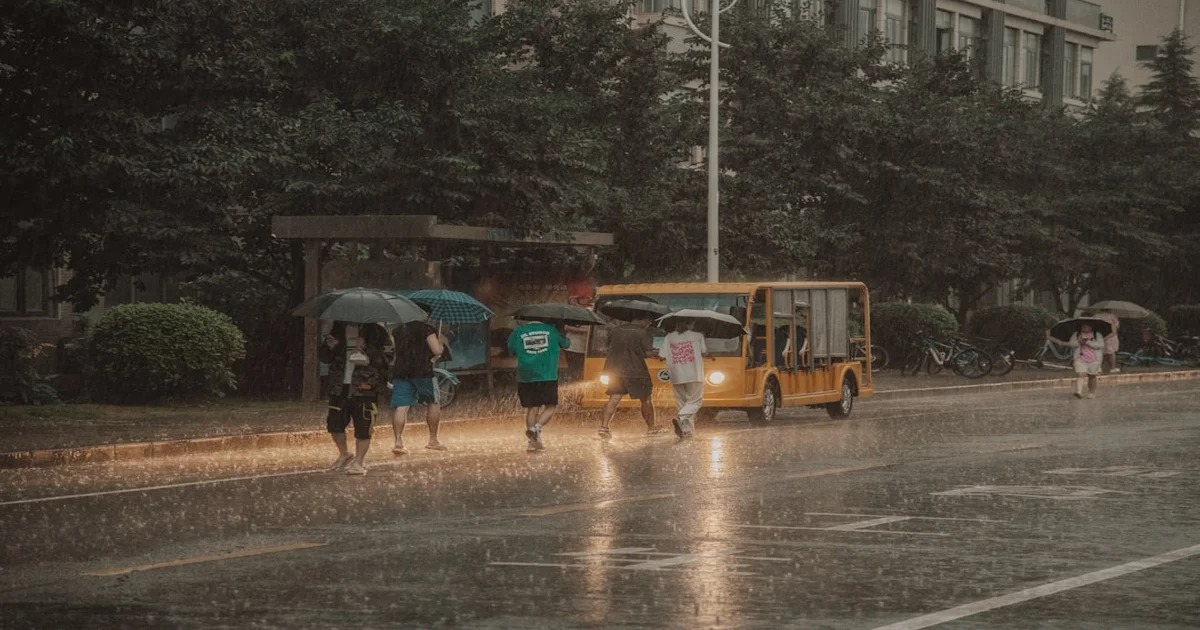 Widemouth Raincoat - Widemouth 'Raincoat' Single Causes Unprecedented Localized Precipitation