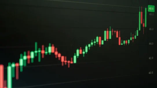 Broadcom shares plummet - Broadcom Shares Plummet as CEO Misreads Chart as Grocery List