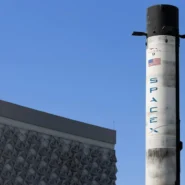 Doja Cat Elon Musk - Doja Cat Calls Elon Musk 'Barrel Chested Ewok' Over X Audio Feature