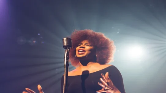 Erykah Badu tour - Erykah Badu Announces Tour With Alchemist, Vows To 'Ground The Astral Plane'