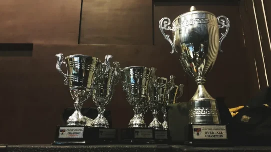 Grammy category expansion - Grammy Category Expansion Ensures Every Artist Wins a Trophy