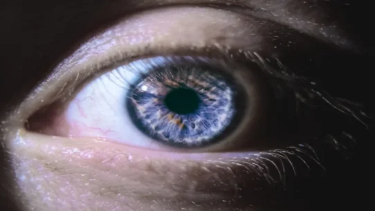iOS 27 new app - iOS 27 Adds 'The Blink App,' Revolutionizing Ocular Awareness