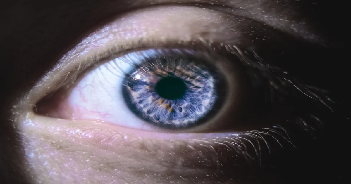 iOS 27 new app - iOS 27 Adds 'The Blink App,' Revolutionizing Ocular Awareness